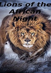 Lions of the African Night